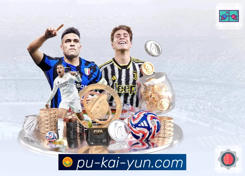 开云平台生态图